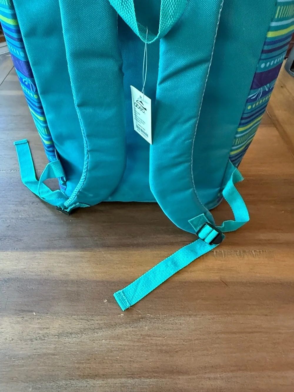 Cooler Backpack with Blue & Green Stripes with teal accents